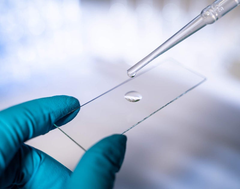 AmScope 72 Pre-Cleaned Blank Microscope Slides and 100 22x22mm Square Cover Glass - Image 5